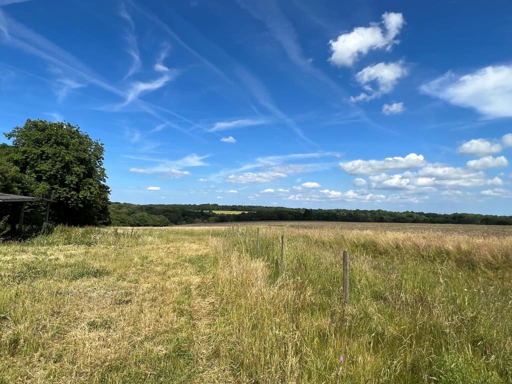 Lot: 26 - BARN FOR CONVERSION IN RURAL SETTING ON PLOT OF JUST OVER THREE-QUARTERS OF AN ACRE - View shot from barn in rural setting in Shalden
